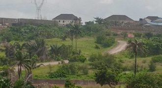 One and Half plot in Amawbia