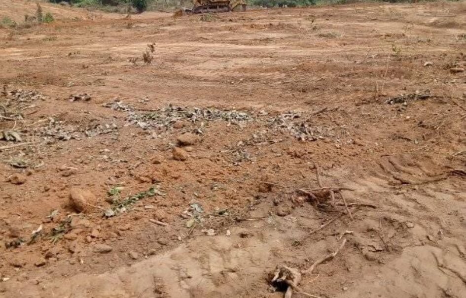 Land at Ikola Axis, Lagos Land at Ikola Axis, Lagos