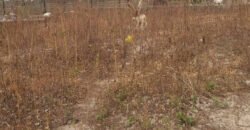 Residential Land for sale in Lugbe