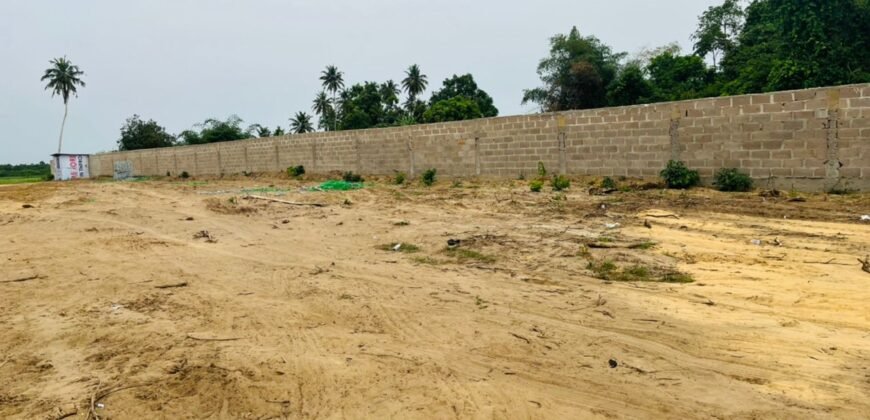 Genuine Buy and build/investment land in IBEJU-LEKKI lagos with CofO